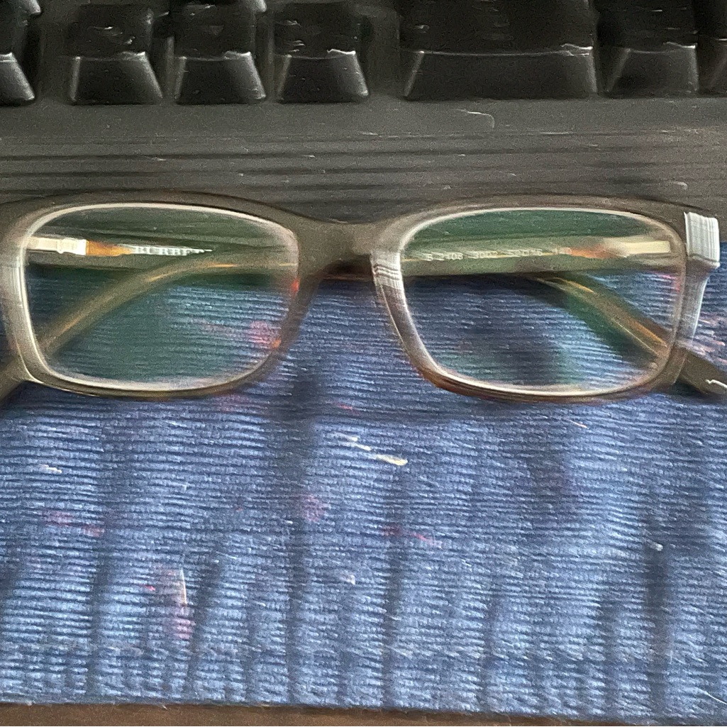 Guc Burberry Frames